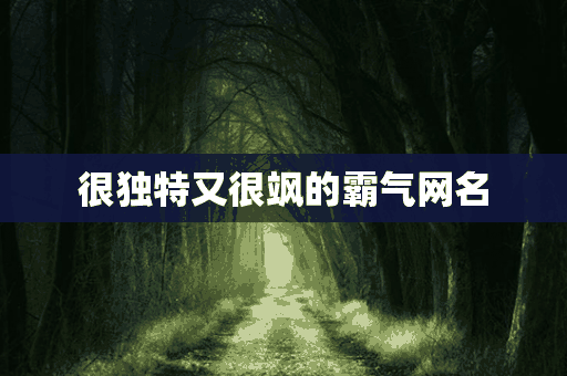 很独特又很飒的霸气网名